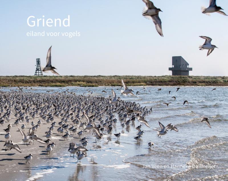 Hanneke Dallmeijer Griend thumbnail