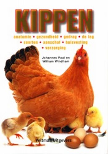 J.P. Windham Kippen