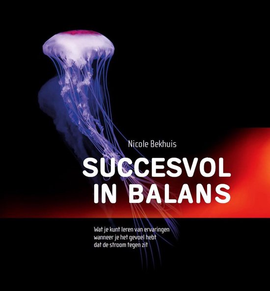 Succesvol in balans