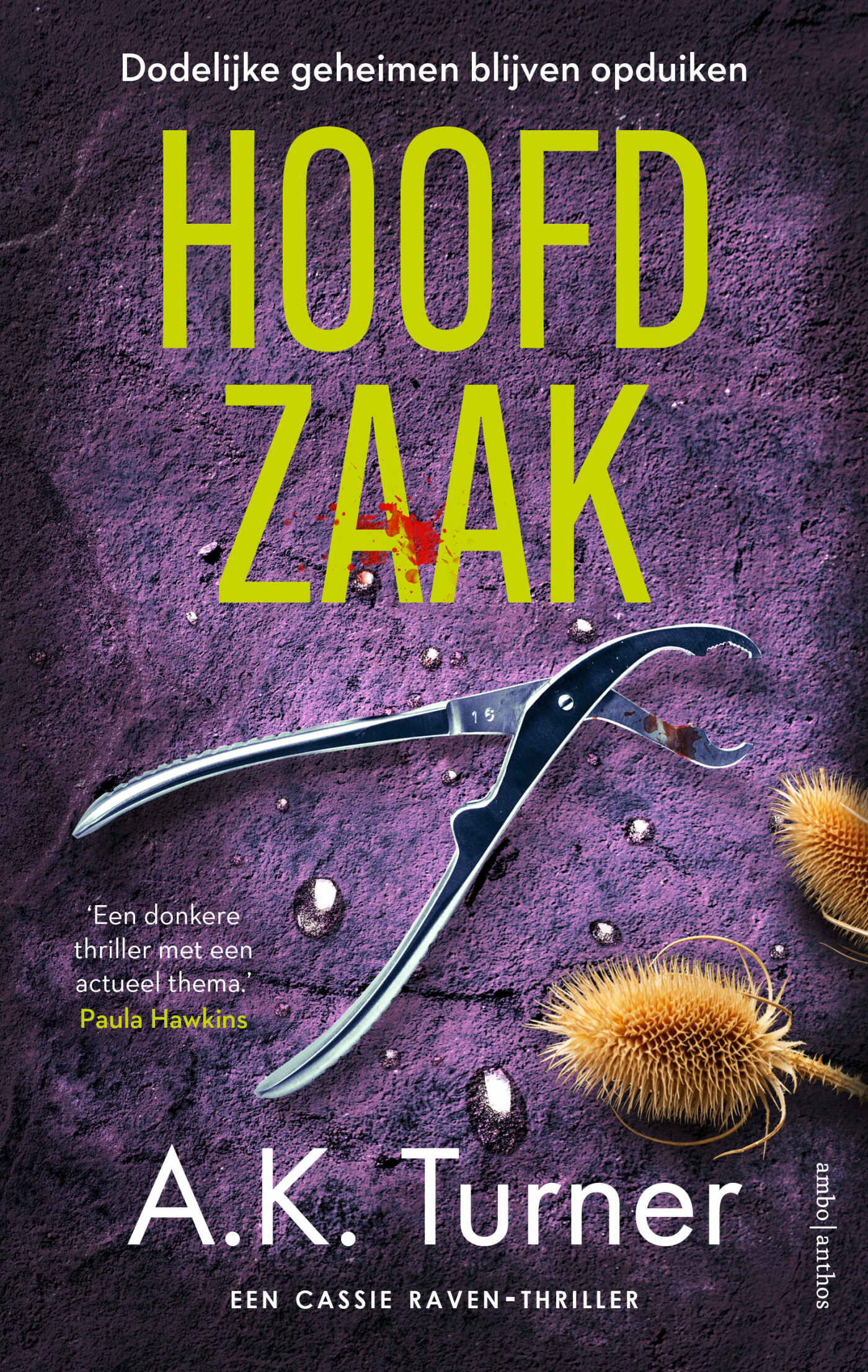 A.K. Turner Hoofdzaak thumbnail
