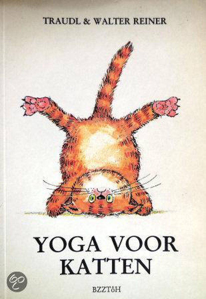 YOGA VOOR KATTEN