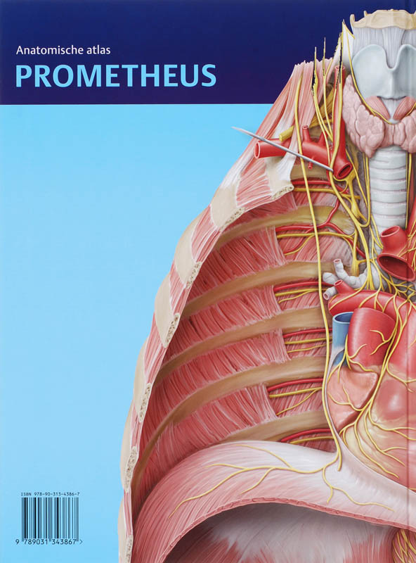 Prometheus anatomische atlas 3 - Hals en inwendige organen achterkant