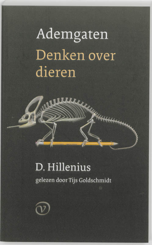 D. Hillenius Ademgaten thumbnail