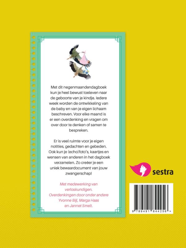 Verwachtingsvol achterkant