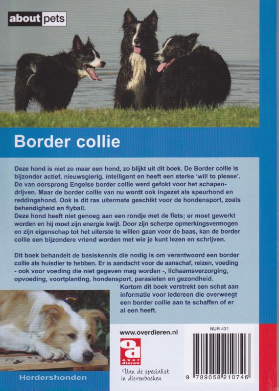 De Border Collie / Over Dieren / 070 achterkant