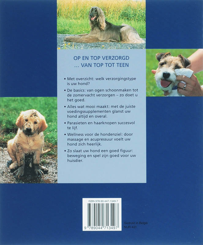 De beste verzorging voor uw hond achterkant