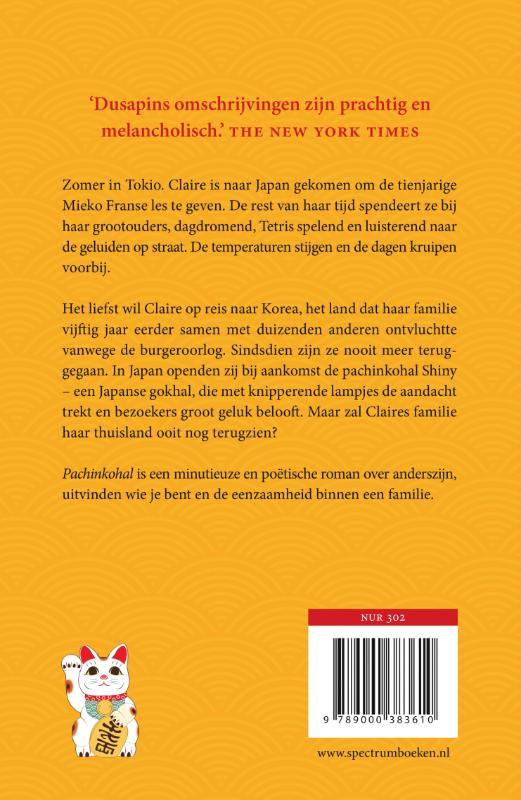 Pachinkohal achterkant