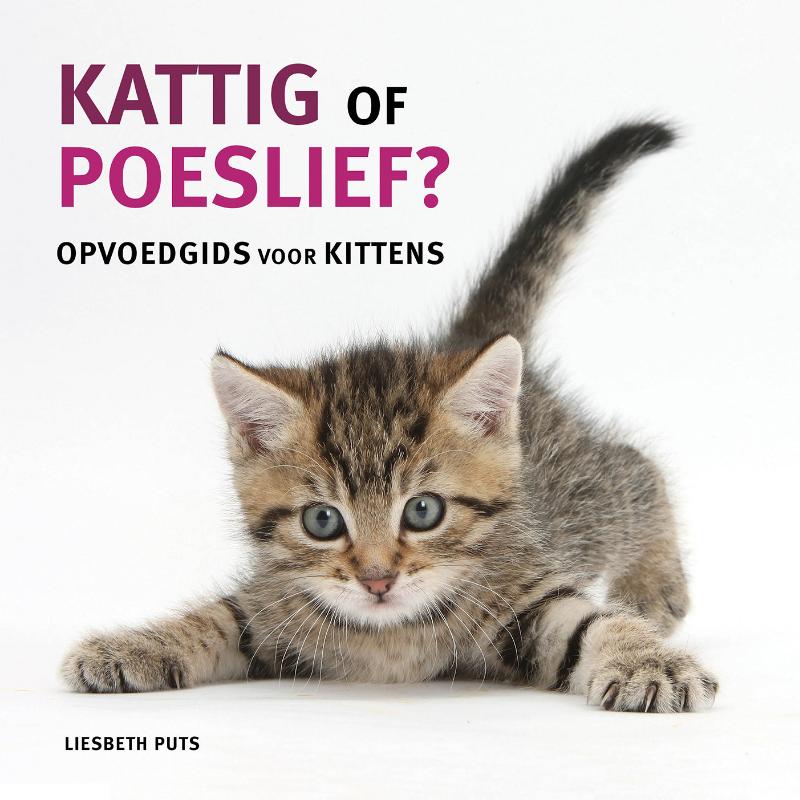 Kattig of poeslief?