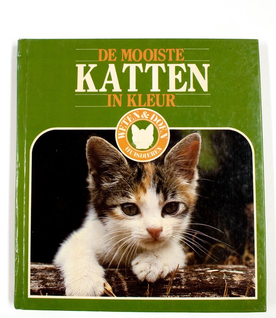 Mooiste katten in kleur