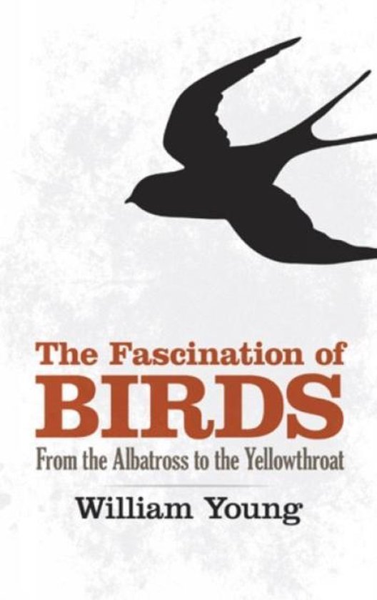 Fascination Of Birds
