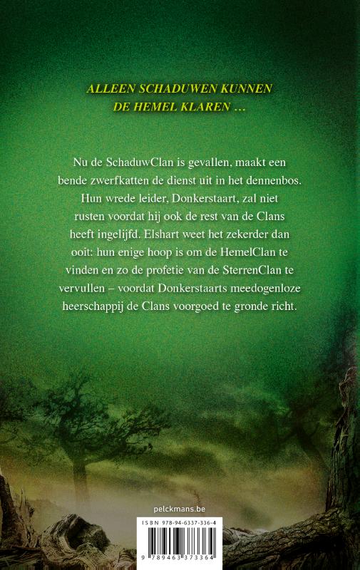 Versplinterde hemel / Warrior Cats / 3 achterkant