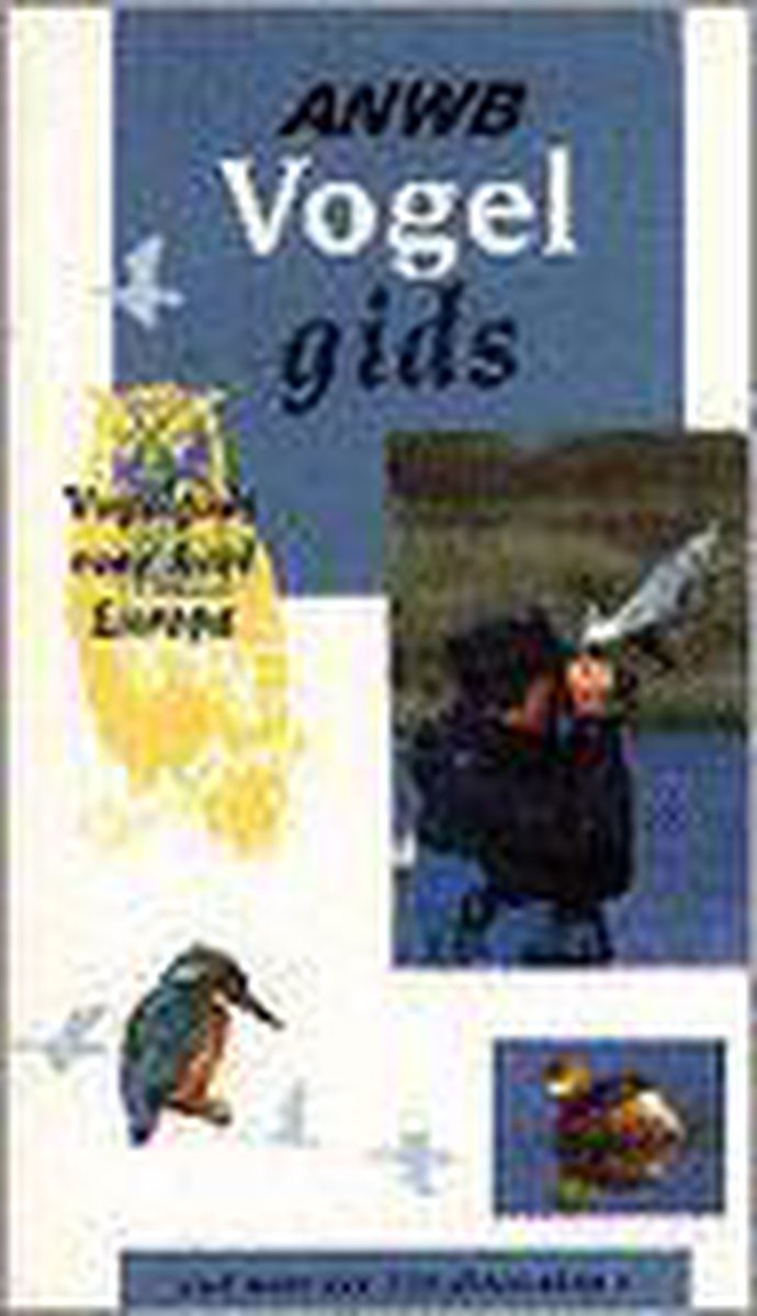 P. Sterry Vogelgids Anwb thumbnail