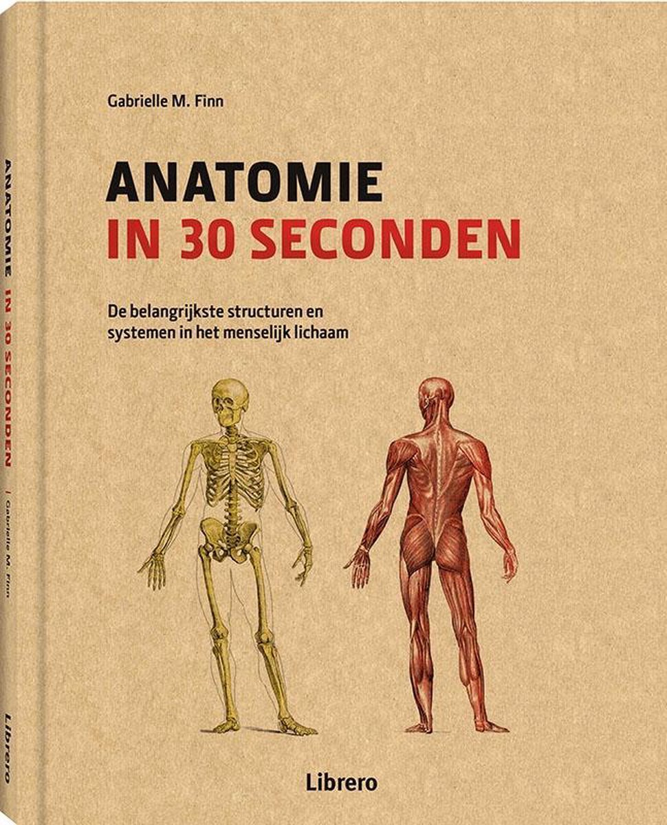 Anatomie in 30 seconden