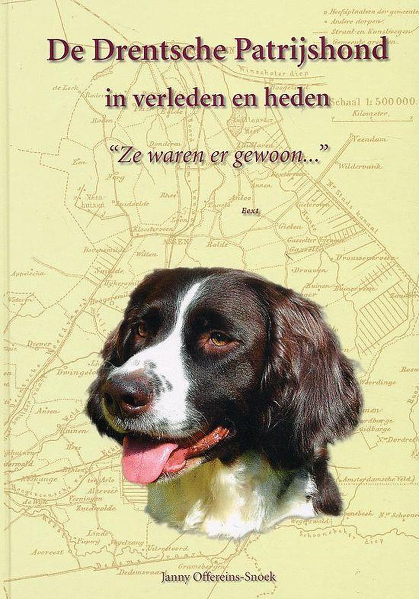 De Drentsche Patrijshond