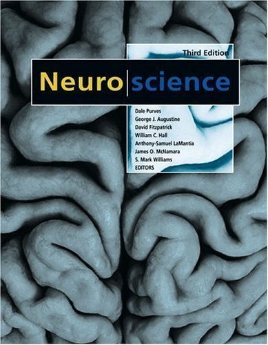 Cognitive Neuroscience