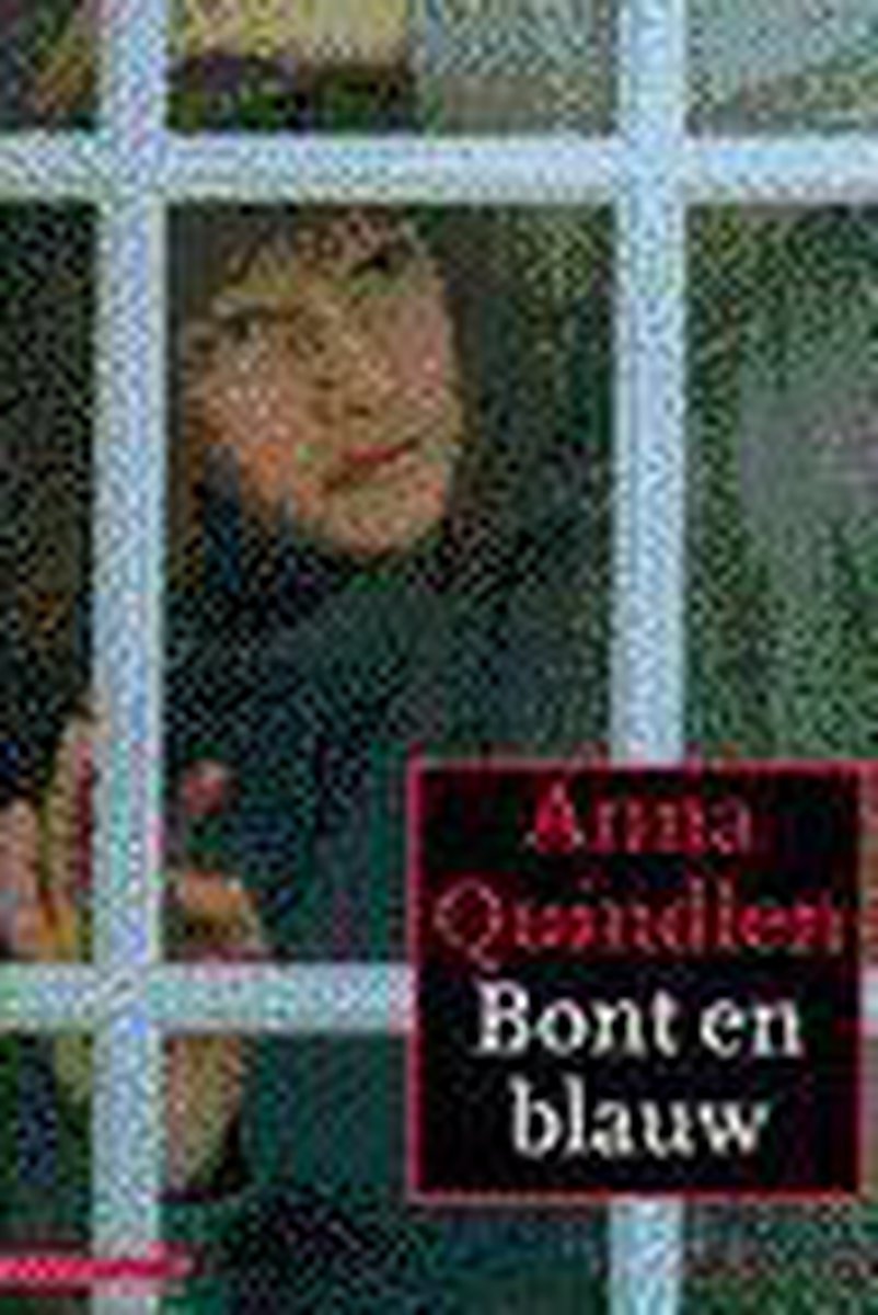 A. Quindlen Bont En Blauw thumbnail