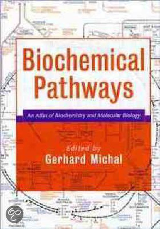 Biochemical Pathways