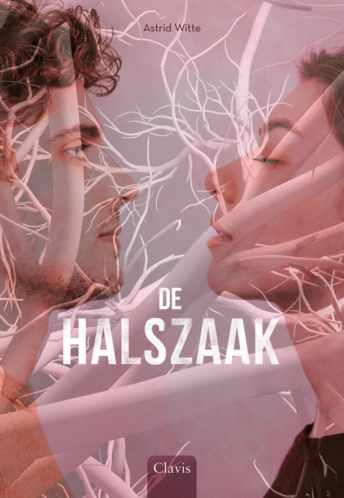 Astrid Witte De Halszaak