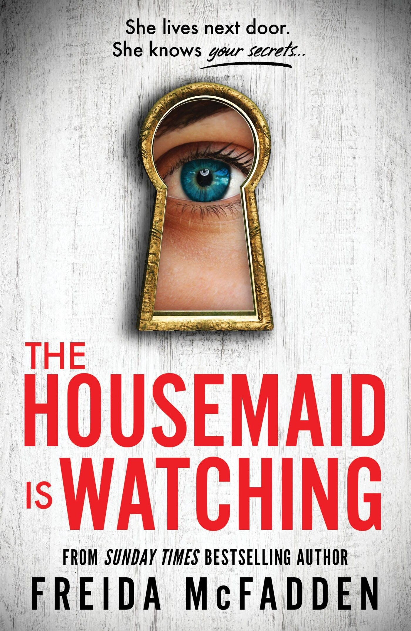 The housemaid is watching / The housemaid series / 3