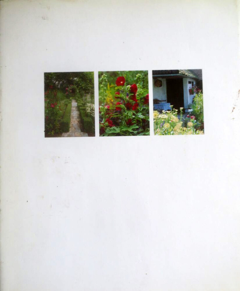 In de tuin achterkant