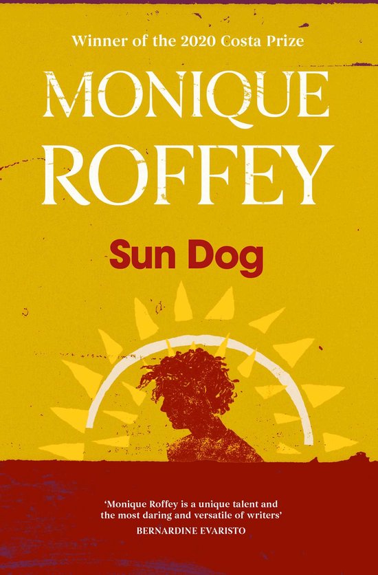 boekenbalie_9781398514102_cover Sun Dog