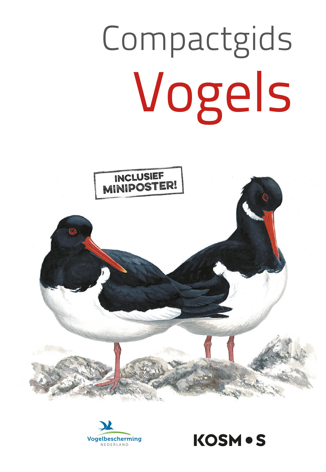 Compactgids Vogels / Compactgidsen natuur