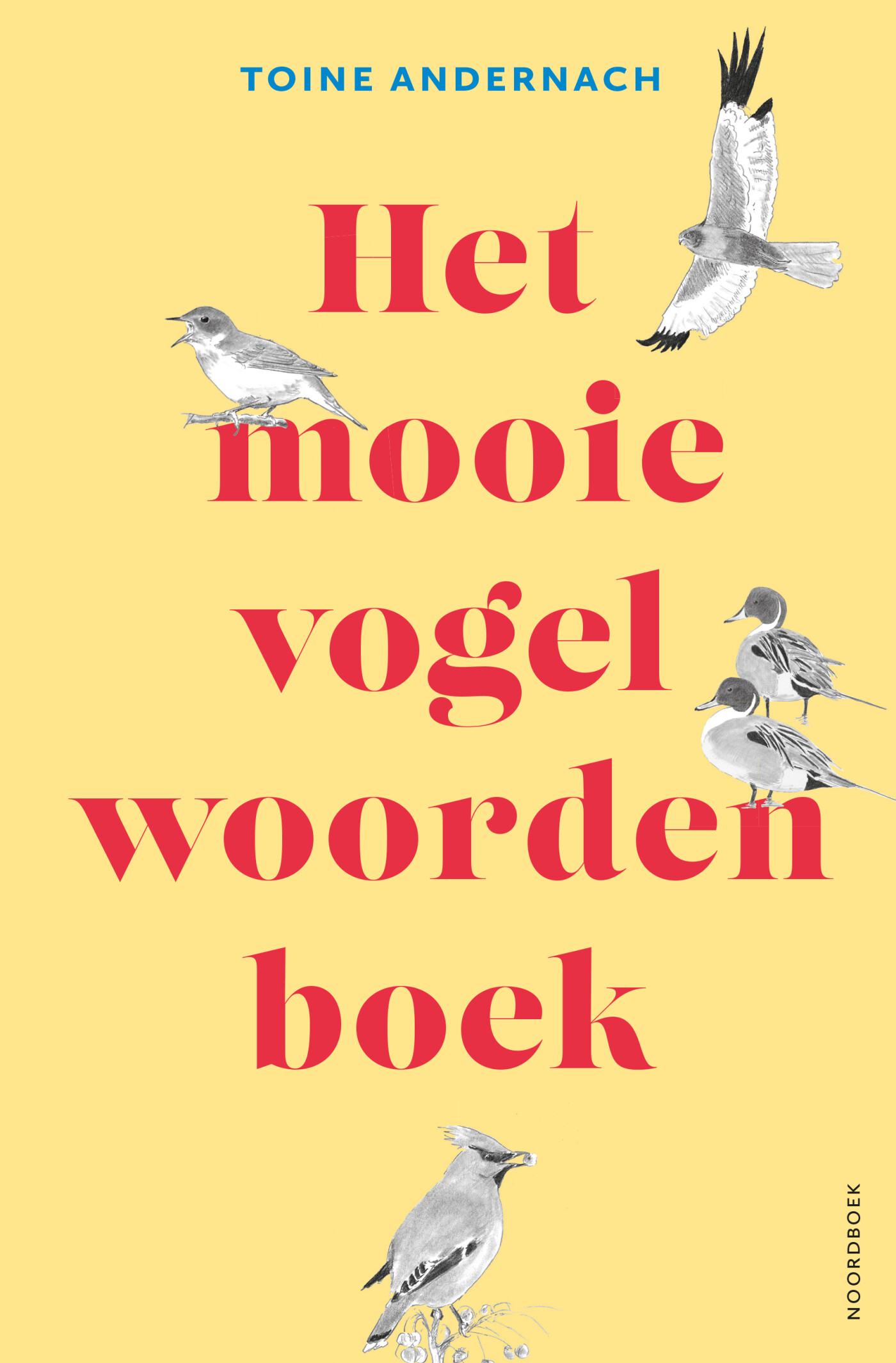 Het mooie vogelwoordenboek