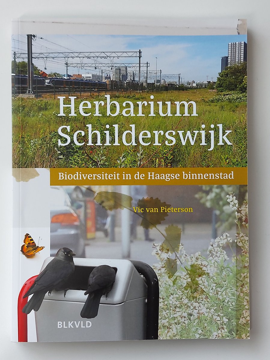 Herbarium Schilderswijk