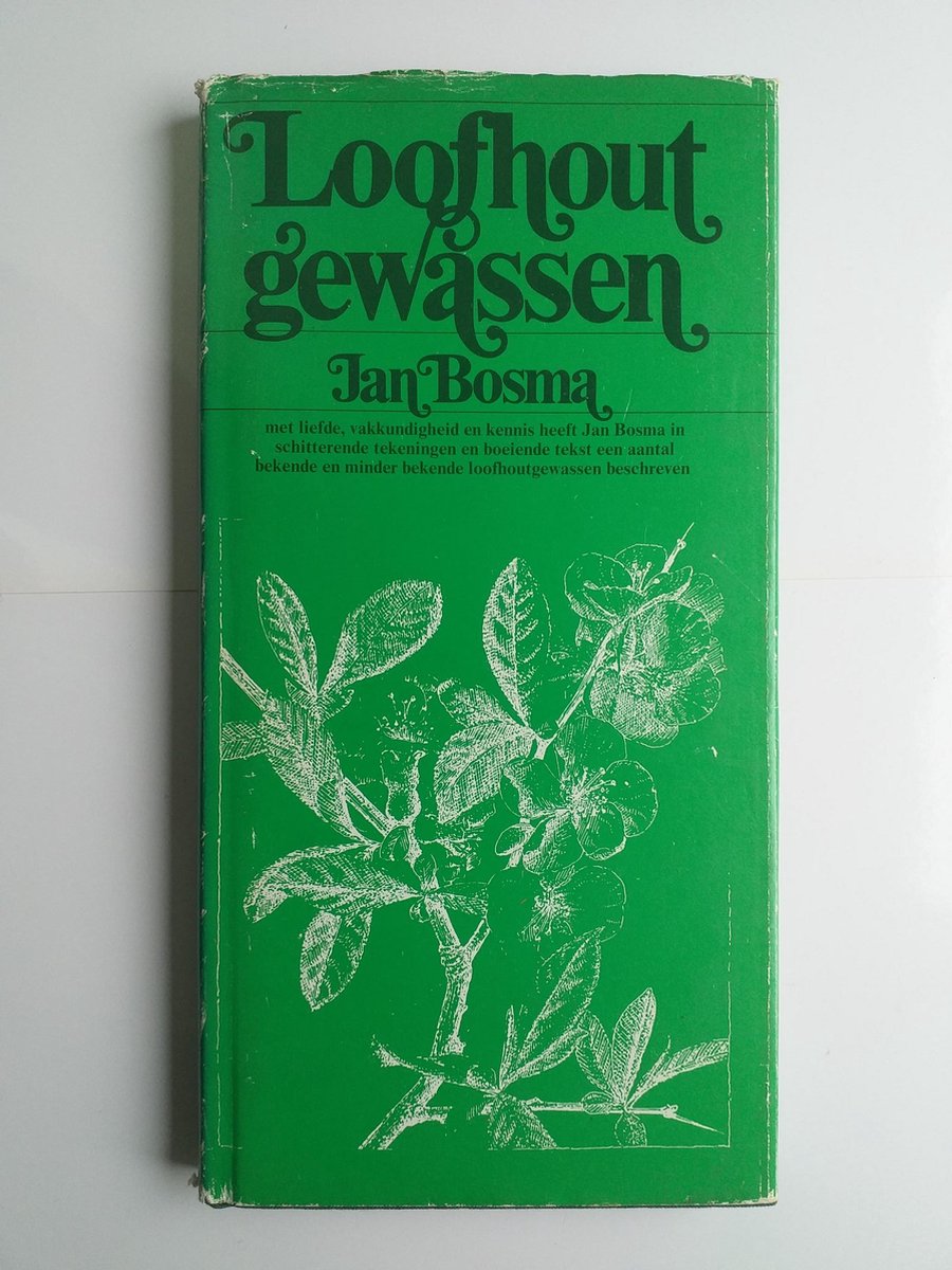 Loofhoutgewassen