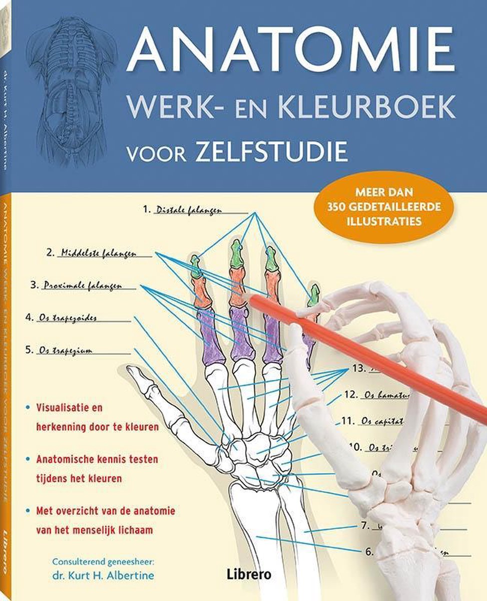 Anatomie werk en kleurboek voor zelfstudie