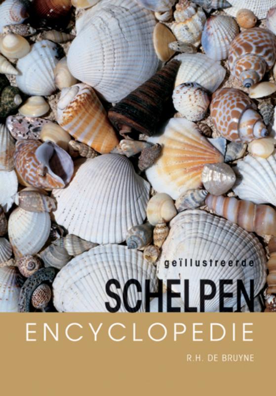 Schelpen encyclopedie