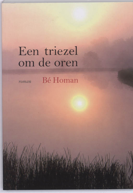 Een triezel om de oren