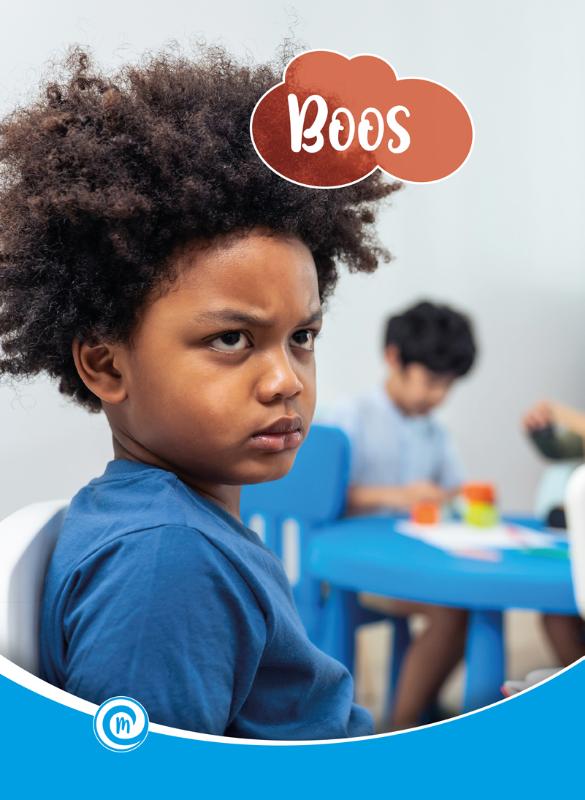 Boos / Mini Informatie / 505