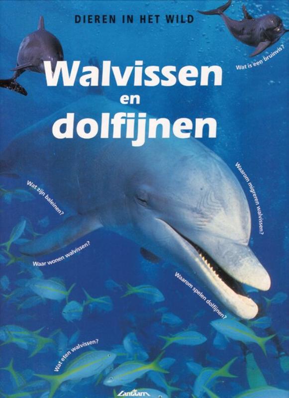 Walvissen en dolfijnen / Dieren in het wild