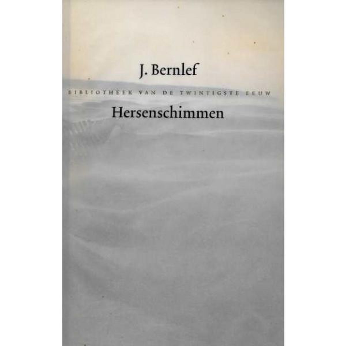 Hersenschimmen