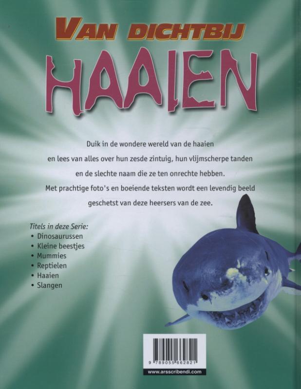 Haaien / Van dichtbij achterkant