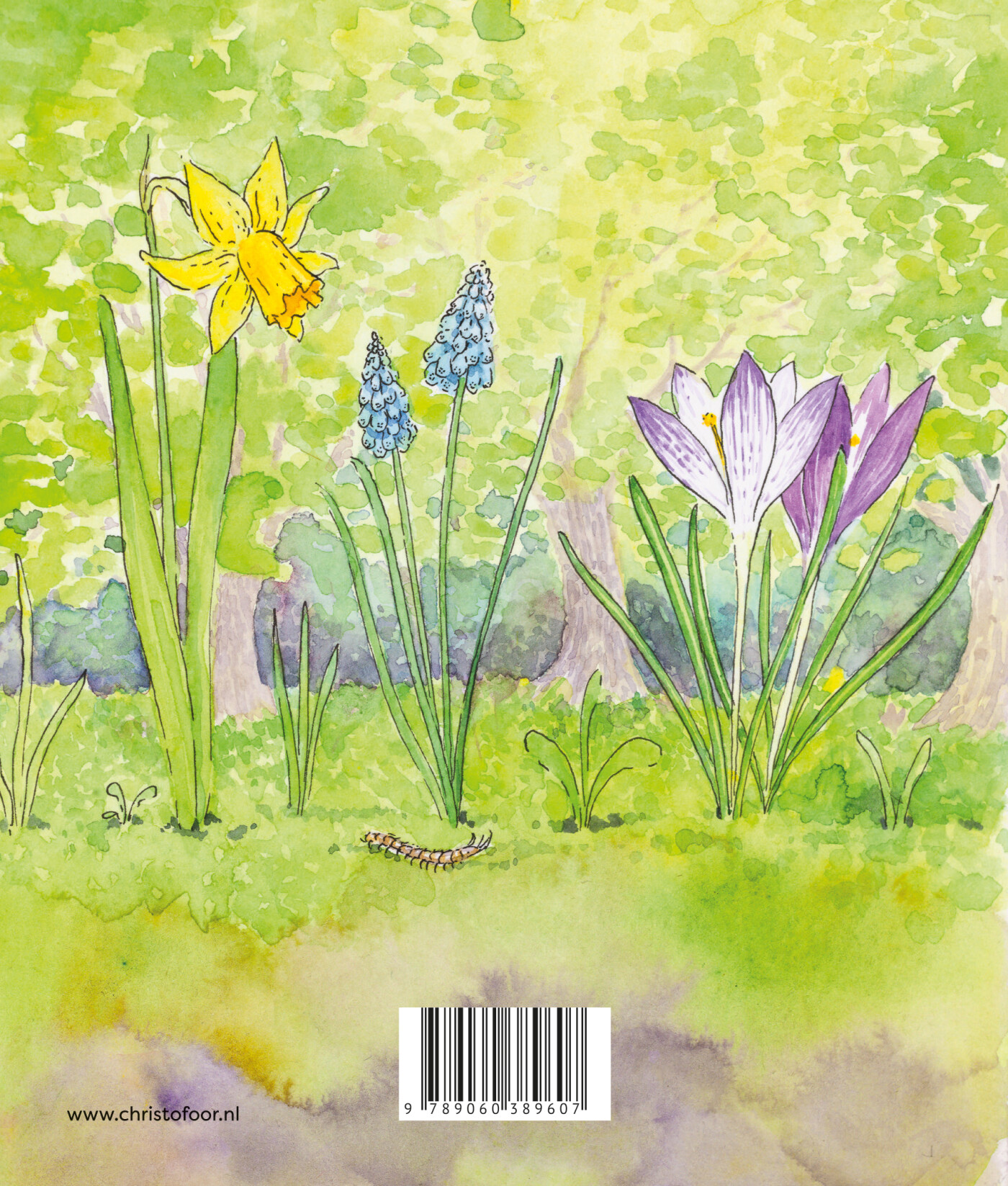 Lente / Spelen en ontdekken achterkant