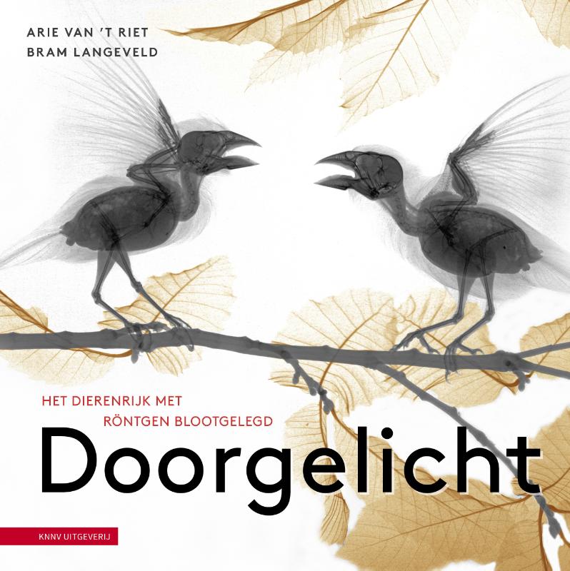 Bram Langeveld Doorgelicht thumbnail