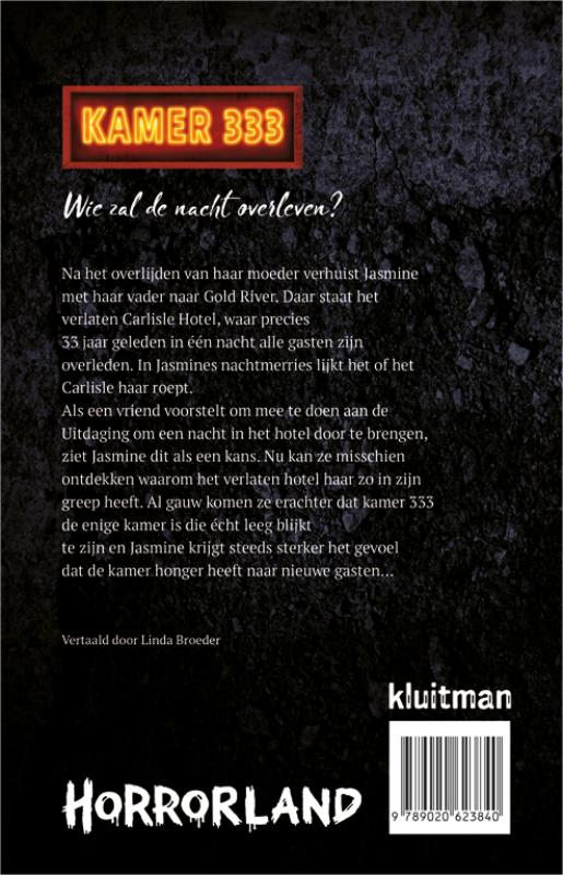 Kamer 333 / Horrorland achterkant