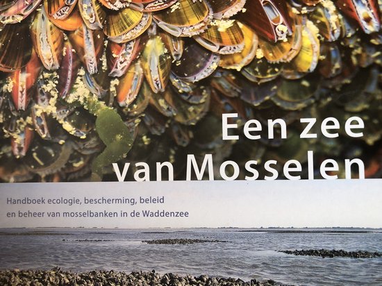 Frouke Fey-Hofstede Een Zee Van Mosselen