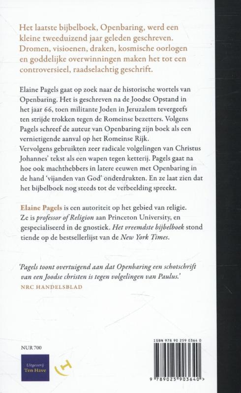 Het vreemdste bijbelboek achterkant