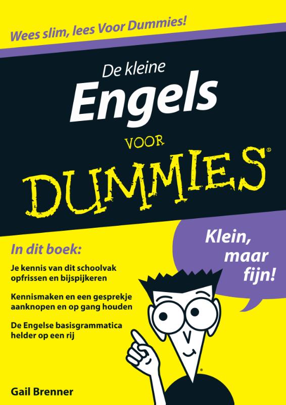 Voor Dummies - De kleine Engels voor Dummies