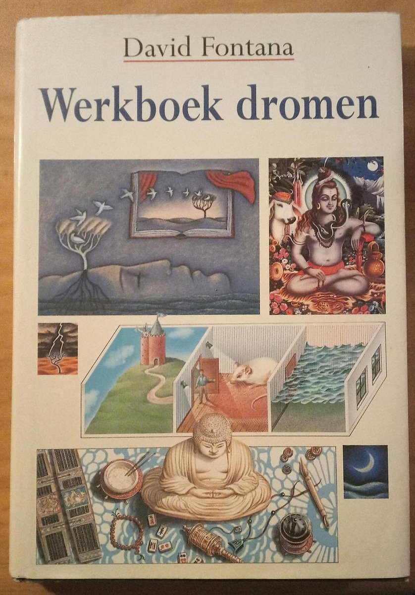 David Fontana Werkboek Dromen thumbnail
