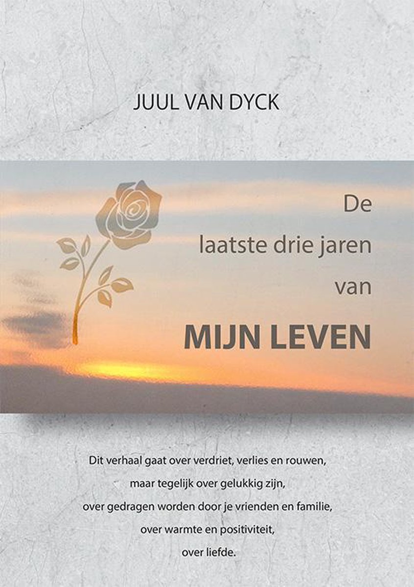 boekenbalie_9789460795411_cover De laatste drie jaren van mijn leven