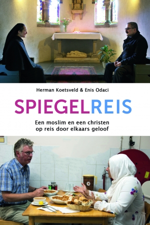 Spiegelreis