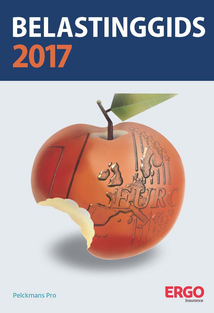 Belastinggids 2017