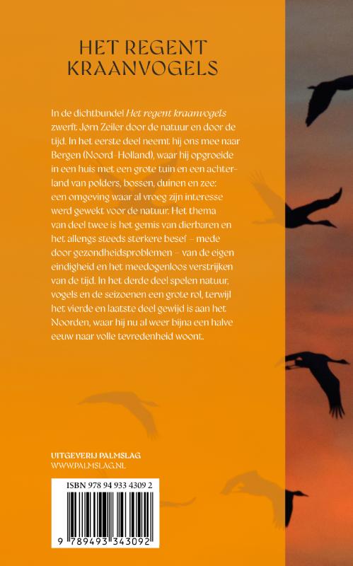 Het regent kraanvogels achterkant
