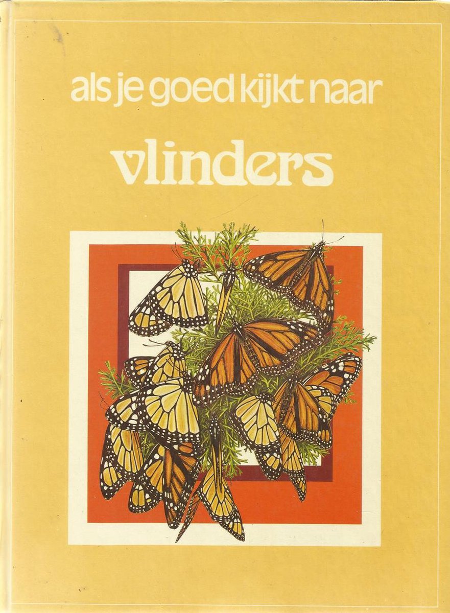 Als je goed kijkt naar vlinders