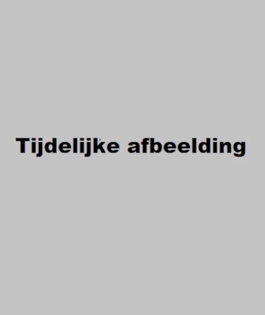 boekenbalie_9789062553167_cover Voetwijzer voor Nederland - deel 4