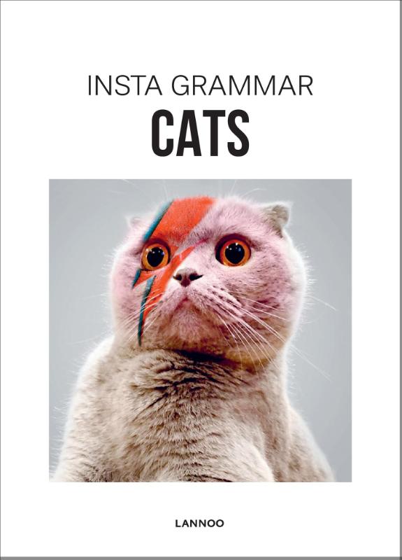 Insta grammar  -   Cats